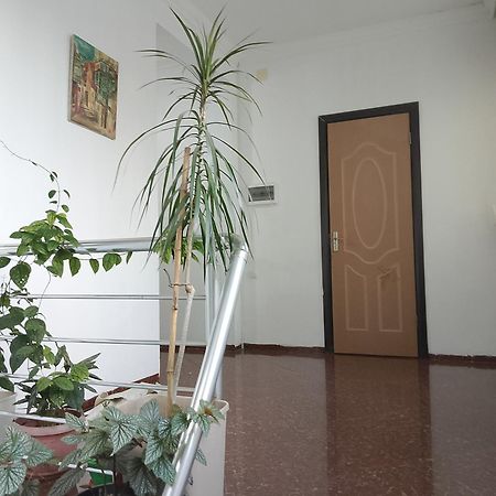 Jesis Batumi Hostel ภายนอก รูปภาพ