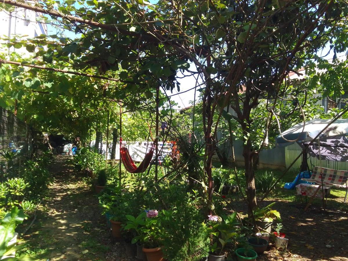 Jesis Batumi Hostel ภายนอก รูปภาพ