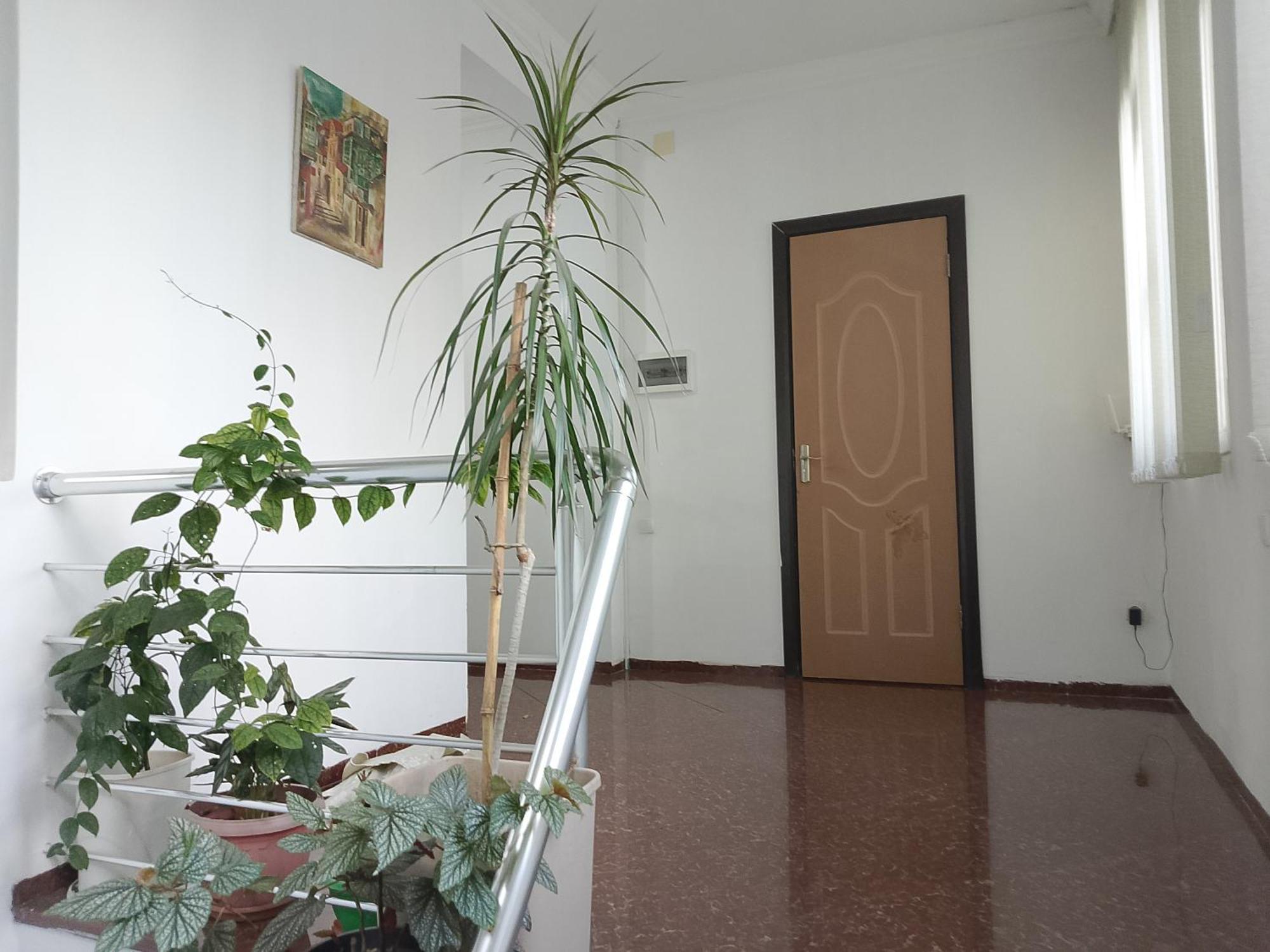 Jesis Batumi Hostel ภายนอก รูปภาพ